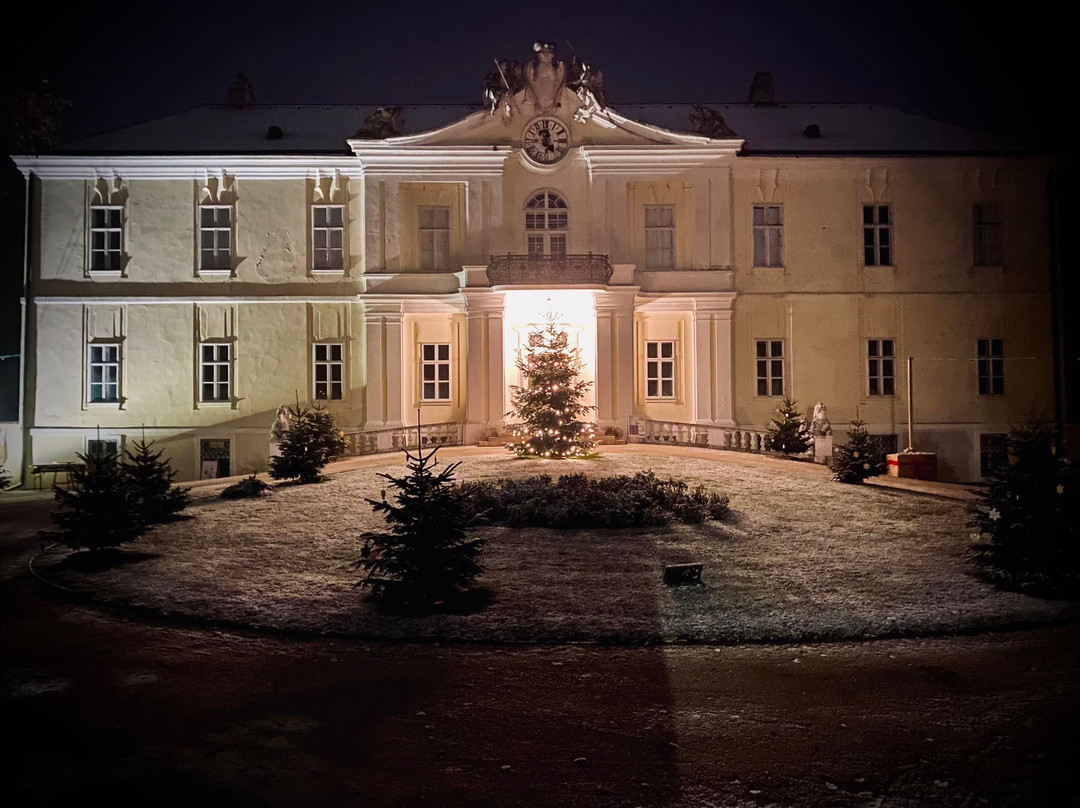 Schloss Wilfersdorf景点图片