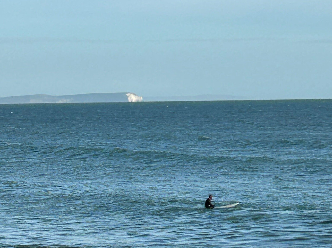 The Polar Bear on the Isle of Wight-伯恩茅斯必去景点