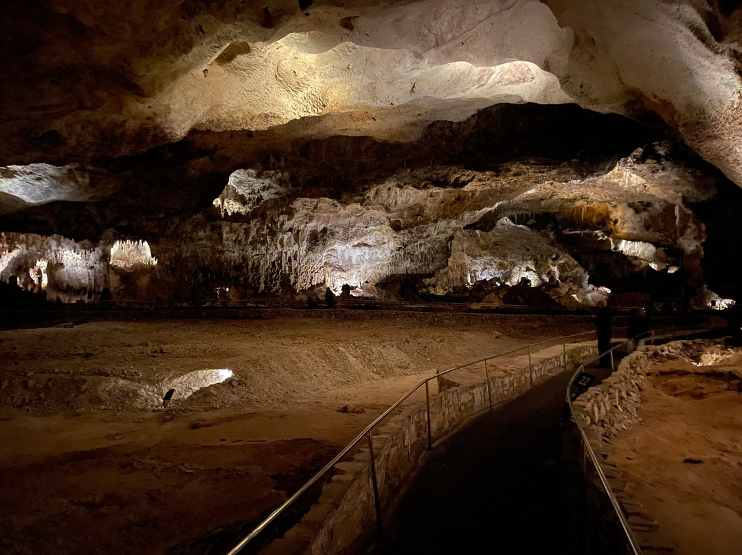 Big Room-卡尔斯巴德洞穴国家公园必去景点