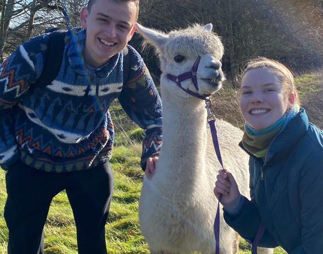 Middle England Farm Alpacas-Henley in Arden必去景点