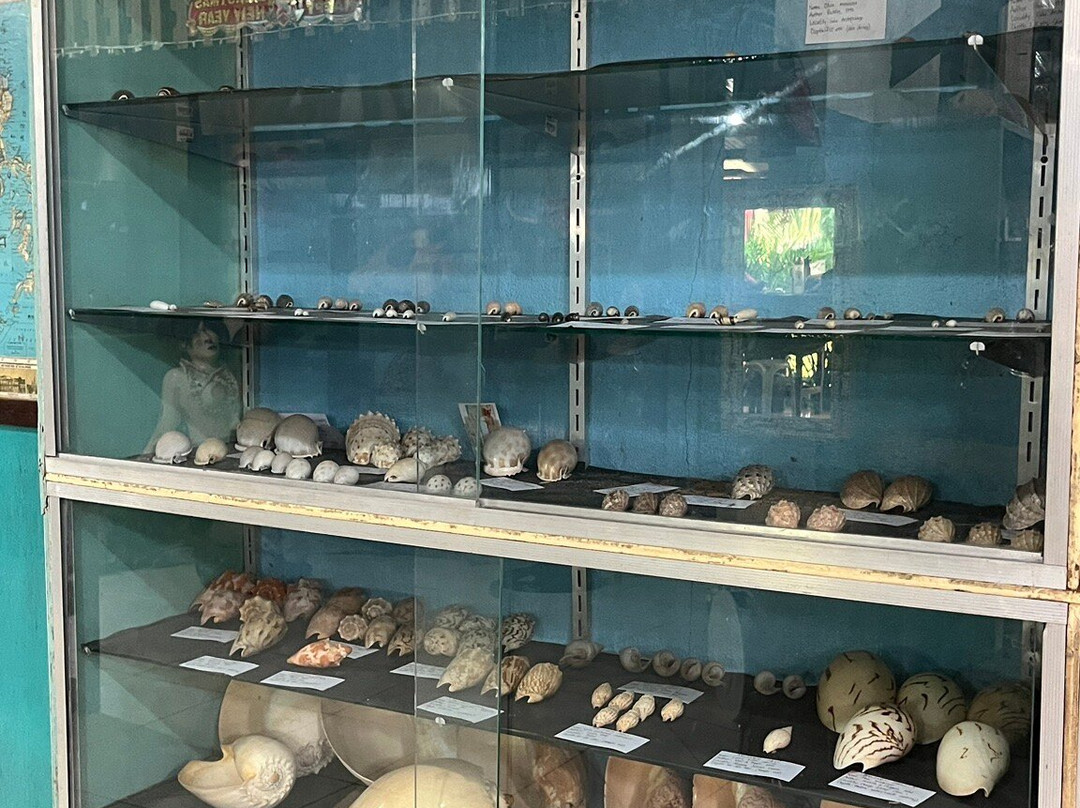 Nova Shells Museum-邦劳岛必去景点