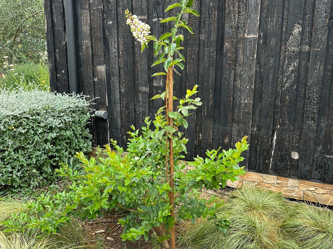 Black Barn Farm-Stanley必去景点