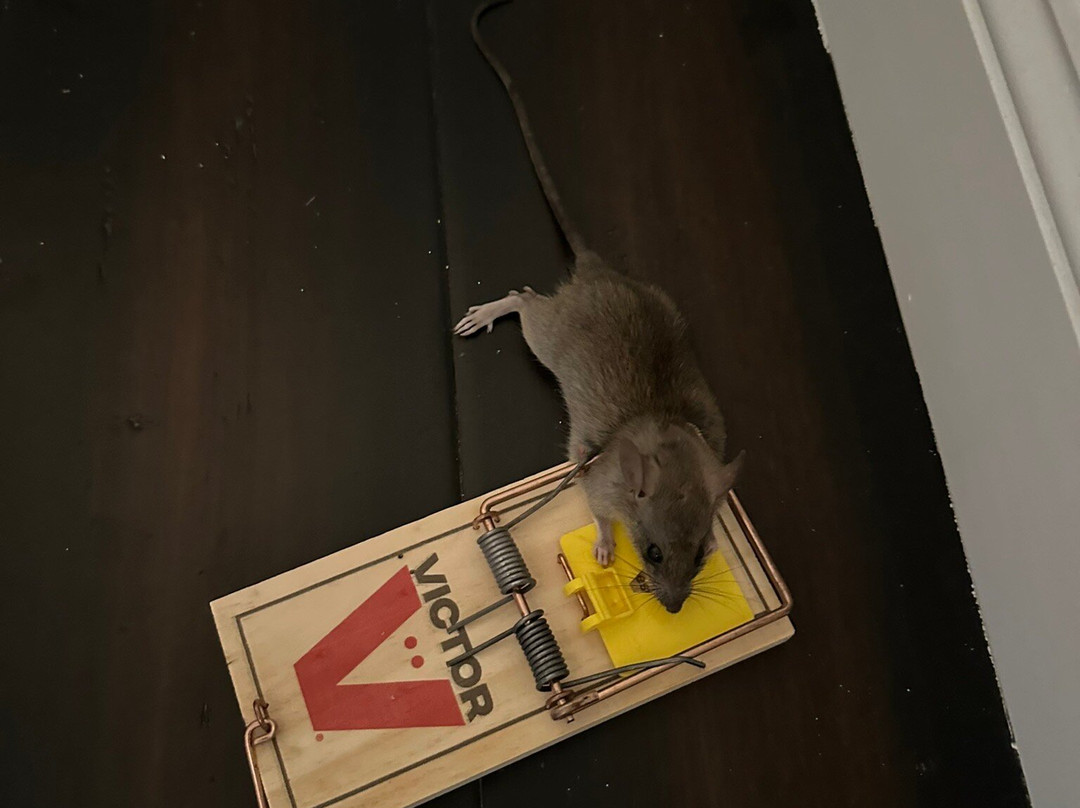 热带别墅酒店主图