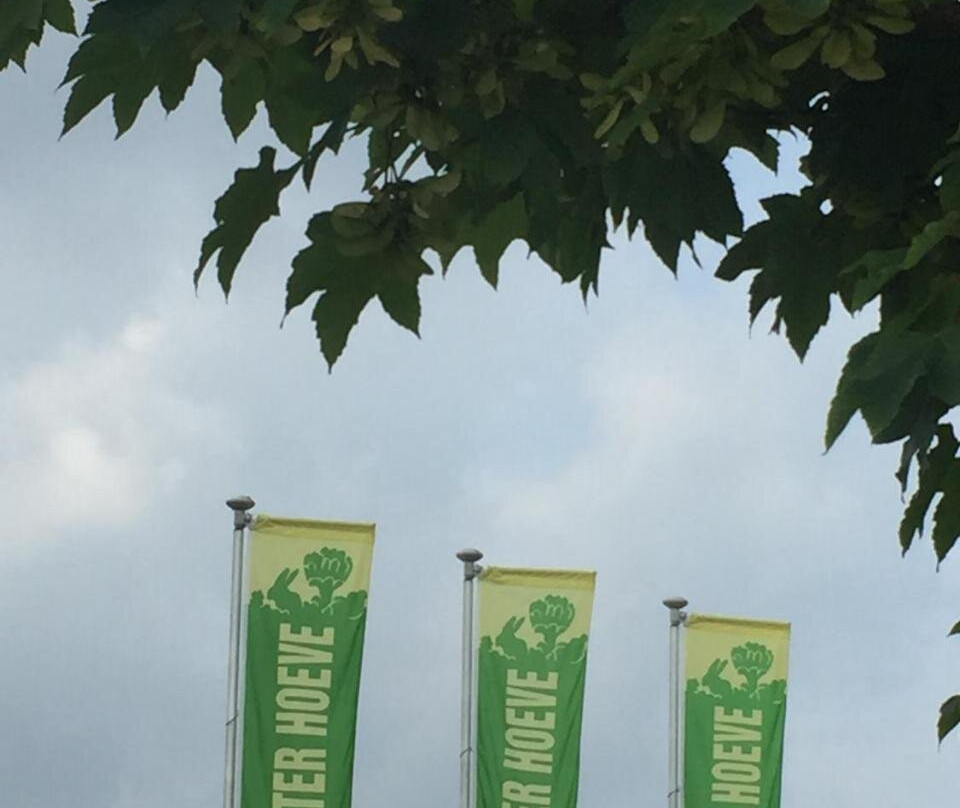 Camping Ter Hoeve