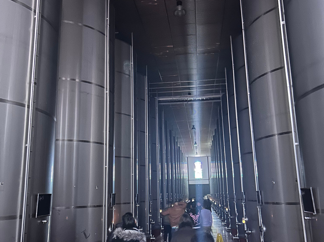 Bodegas Ontañón, El Templo del Vino景点图片