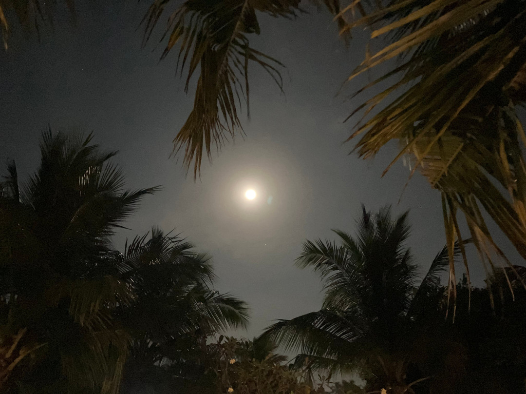 Nilaveli Ayurveda Gesundheitszentrum主图