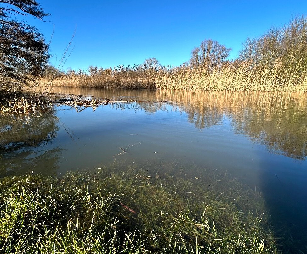 Flatford Mill景点图片
