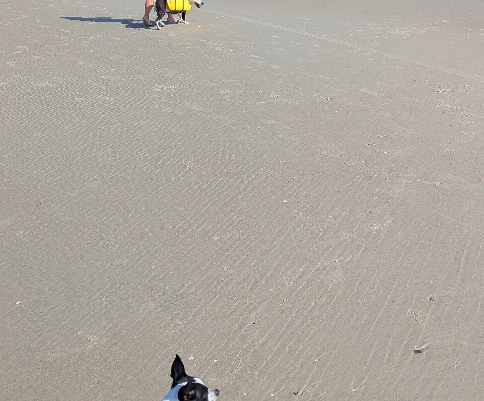 Crescent Beach Public Beach-Crescent Beach必去景点