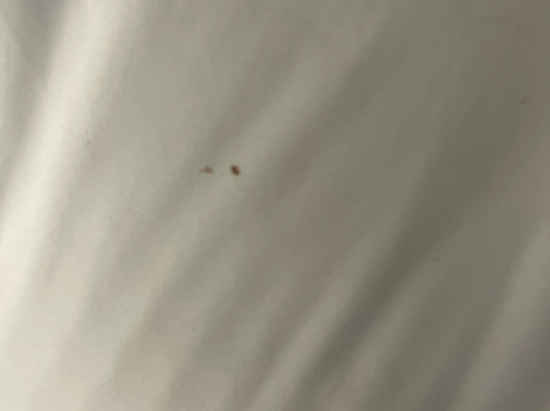 Country Inn & Suites by Radisson, Asheville West, NC主图