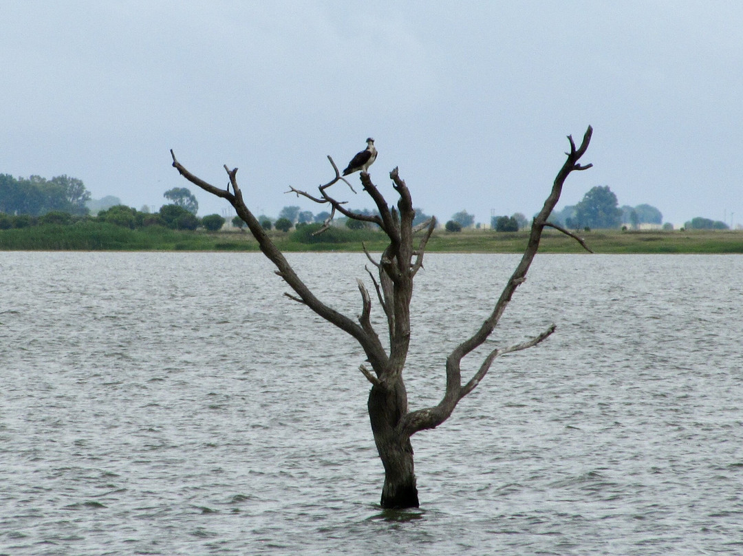Barberspan Bird Sanctuary-Delareyville必去景点