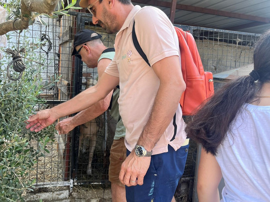 Tours For Ephesus-库萨达斯必去景点