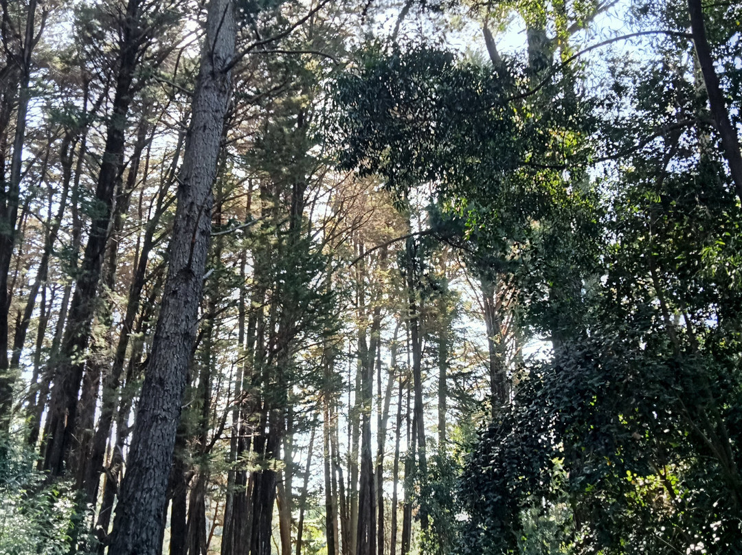 Cerro Caracol-康塞普西翁必去景点