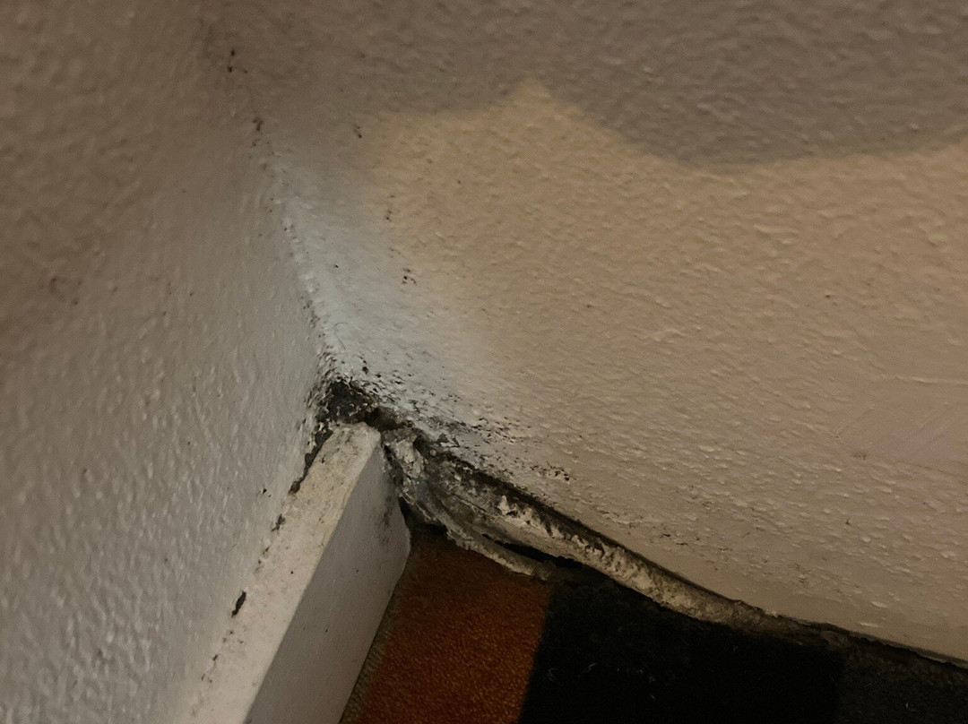 Kyriad Direct Agen-Castelculier主图