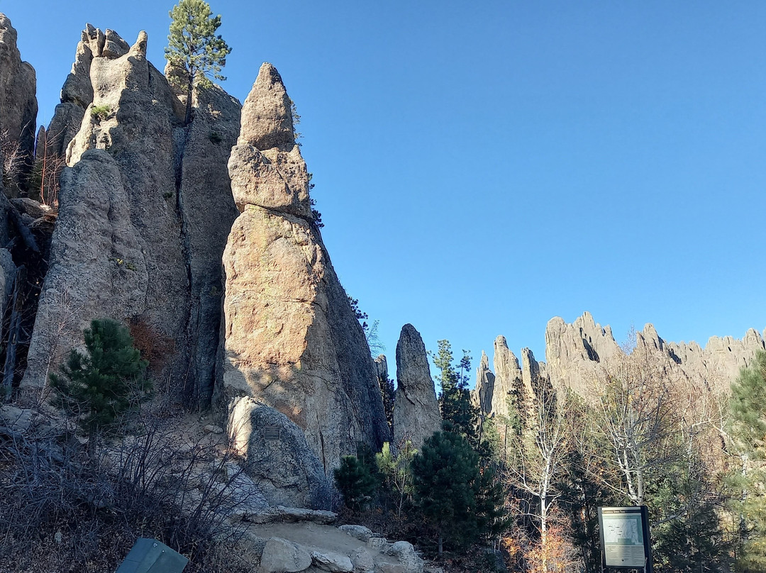 Black Hills National Forest-卡斯特必去景点