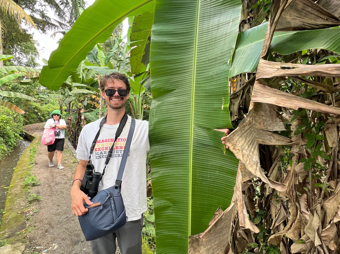 Bali Bird Walks-乌布必去景点