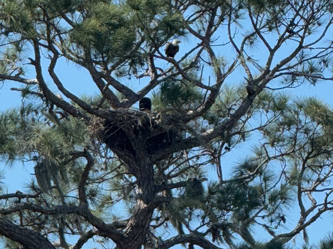 Margaritaville, Rv Campground Florida-Auburndale必去景点