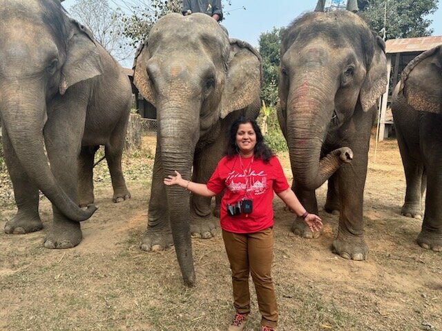 Safari Narayani Hotel主图