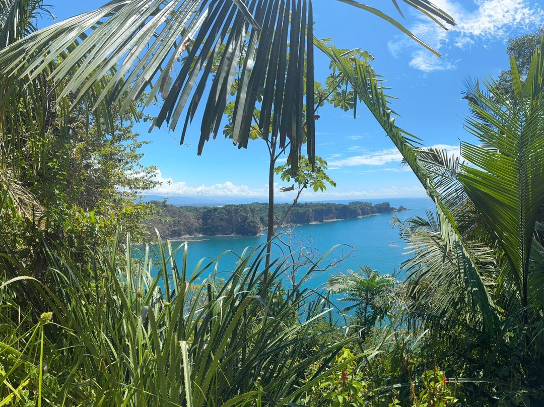 Manuel Antonio, Costa Rica-Savegre必去景点