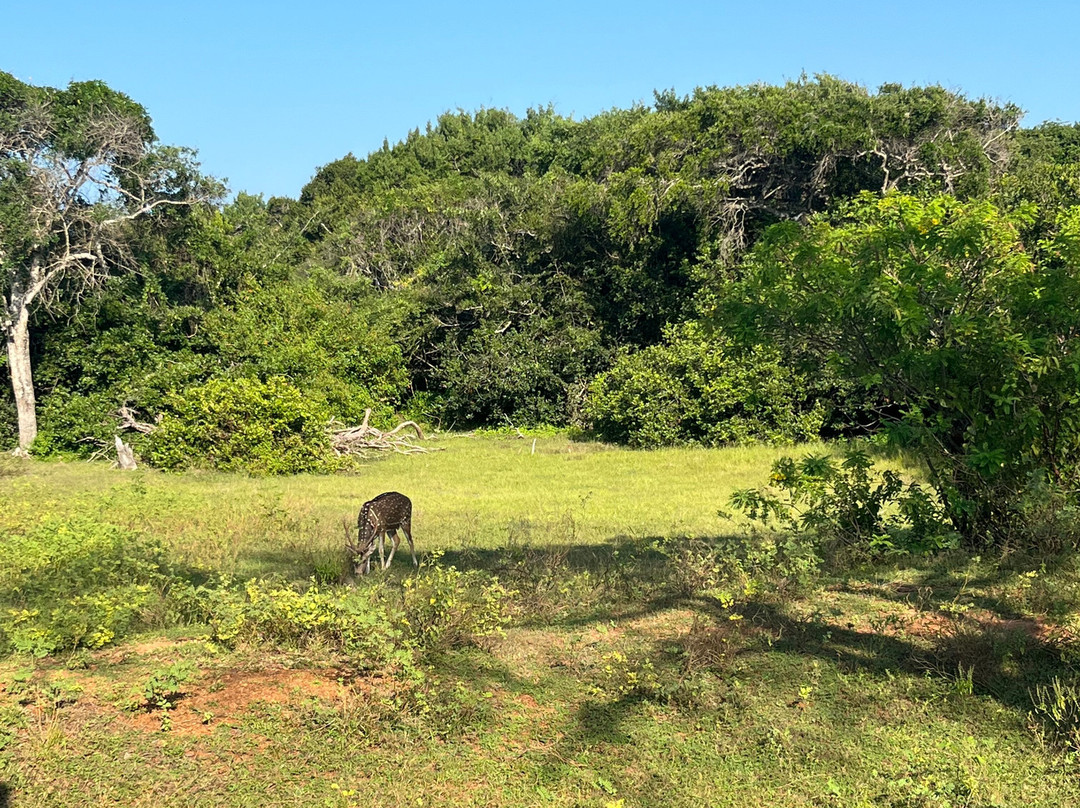 Southern Wild Safari-蒂瑟默哈拉默必去景点