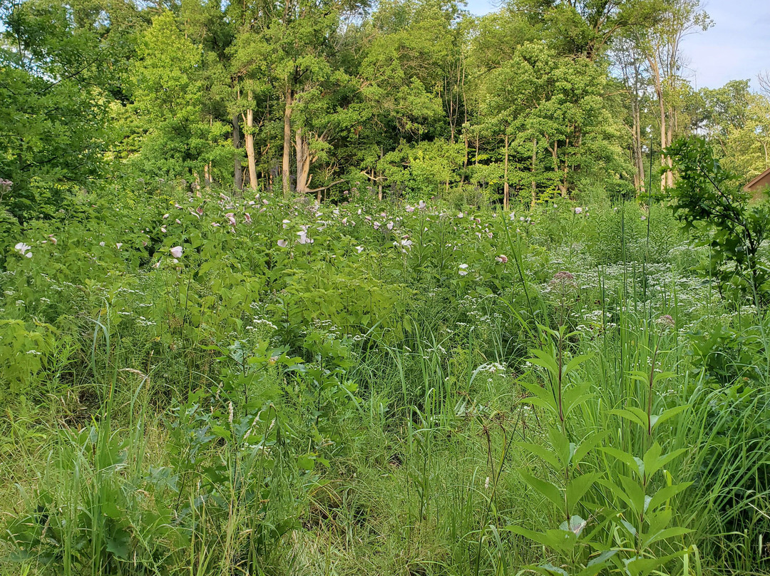 Brecksville Reservation-Brecksville必去景点