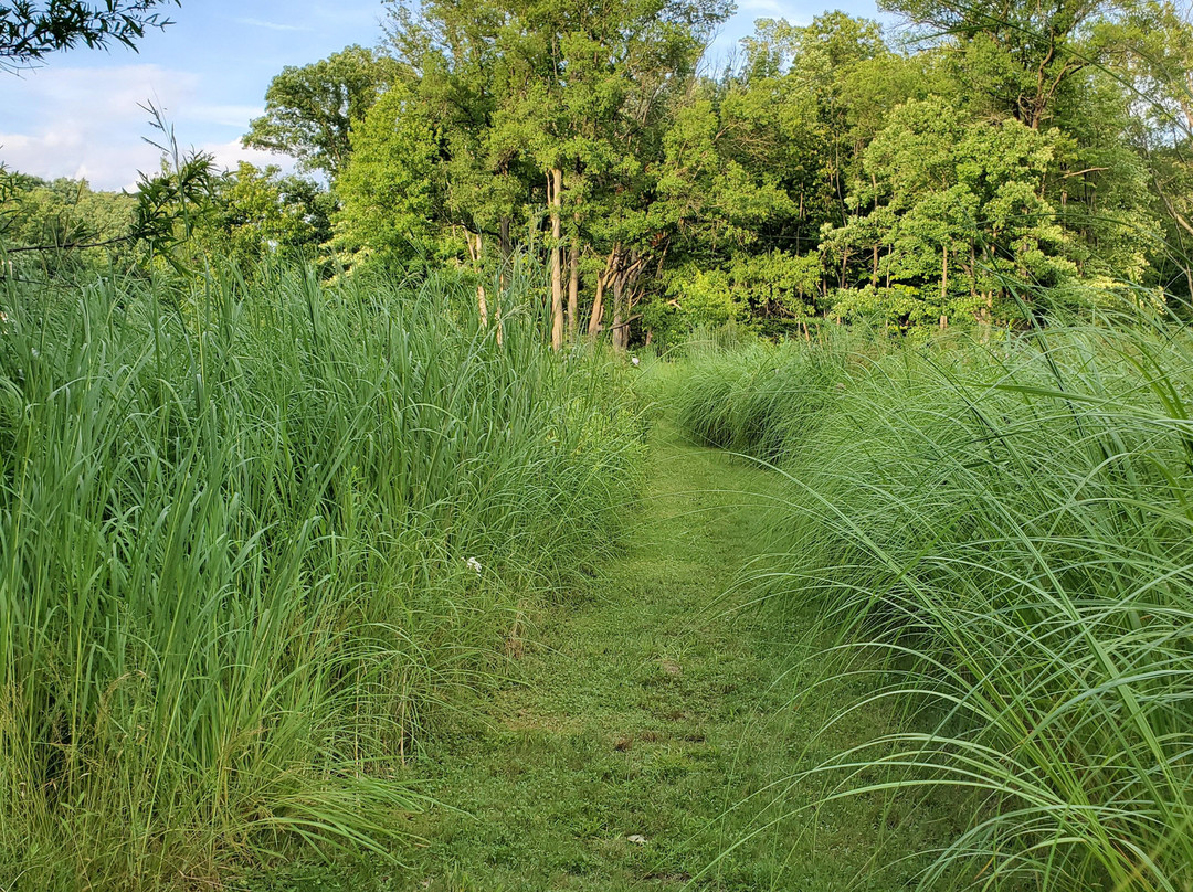 Brecksville Reservation-Brecksville必去景点