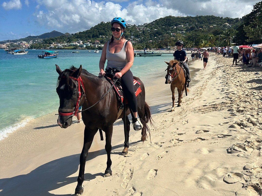 Bonanza Stables-St. George's必去景点
