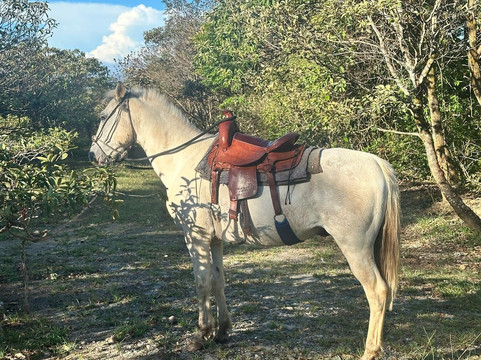 Finca Las Huacas-波魁特必去景点