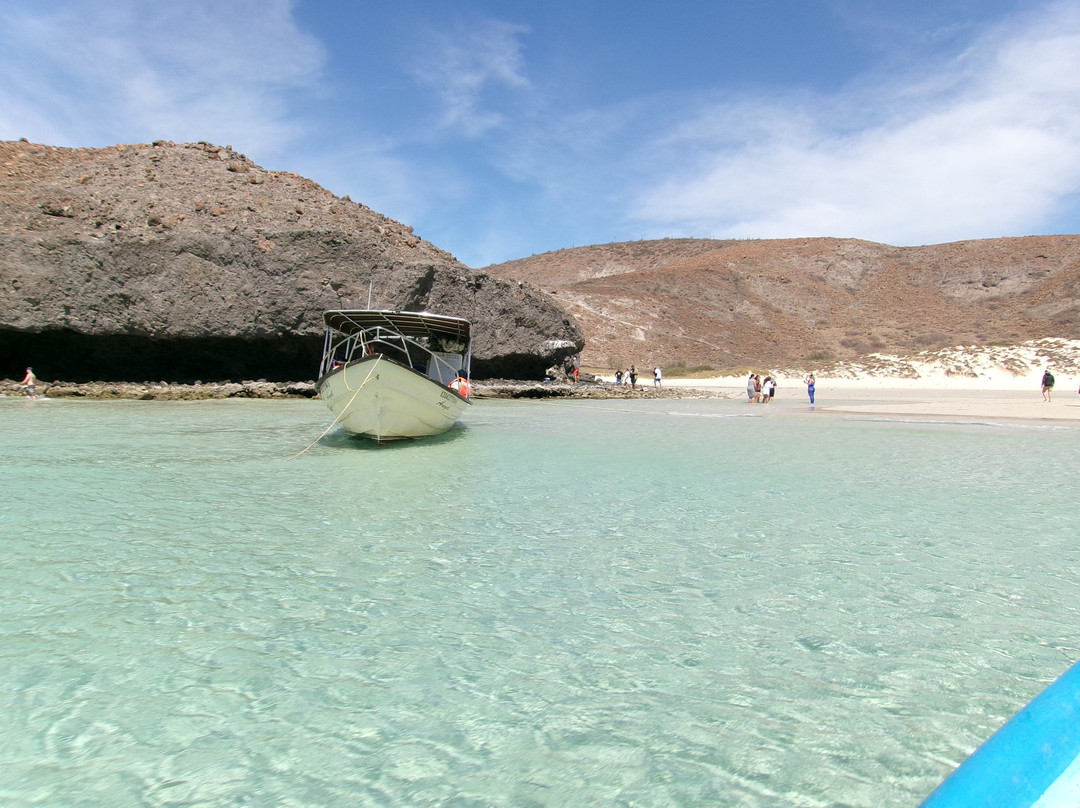 Baja Toto Tours