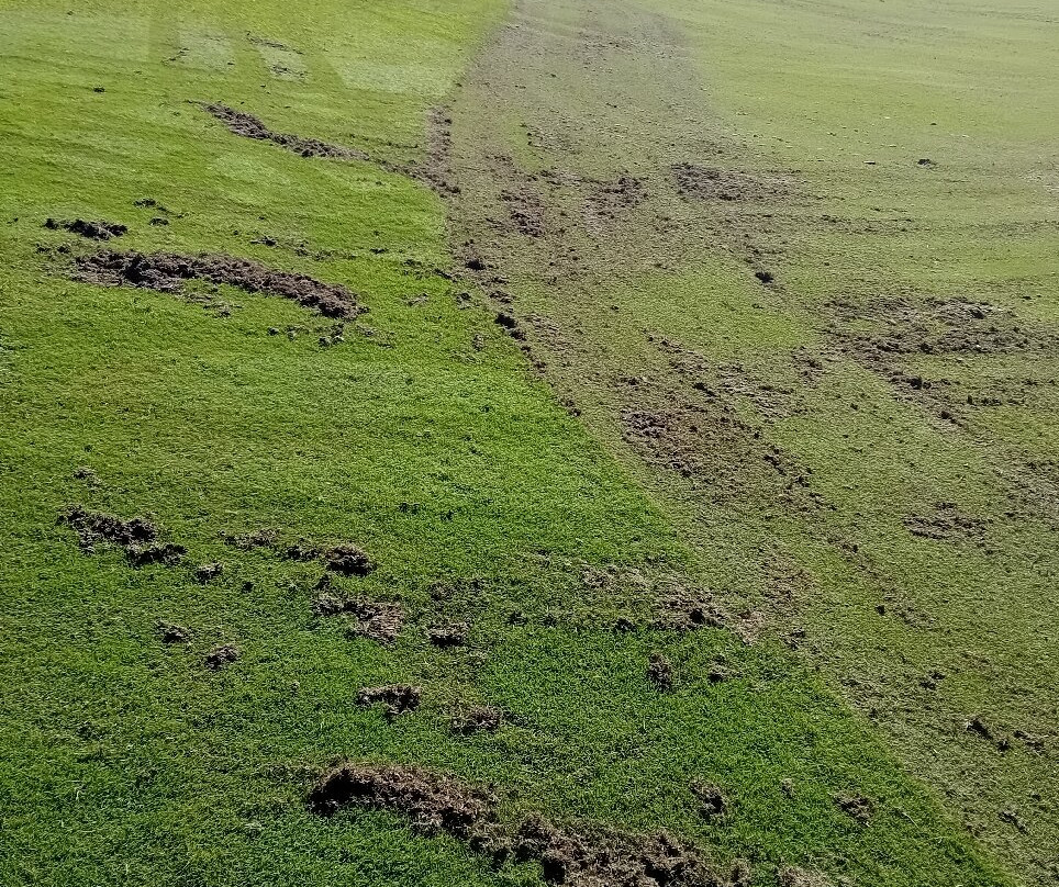 Zimbali Golf Course-德班必去景点