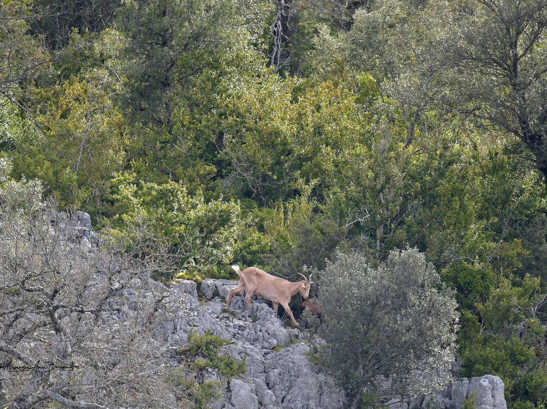 Mirador de Iso-Lumbier必去景点
