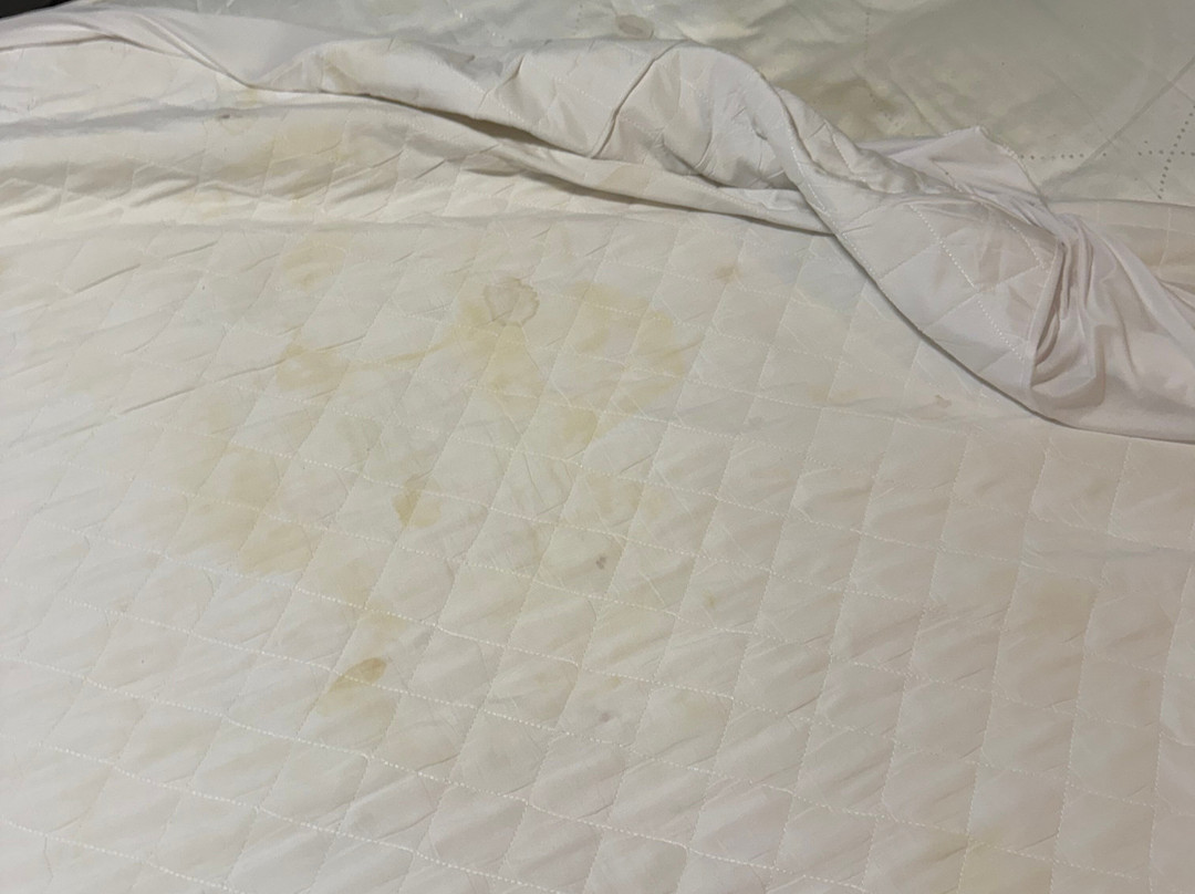 撒克逊霍姆酒店主图