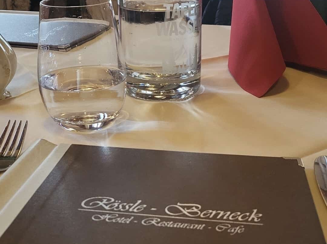 Hotel Rössle Berneck主图