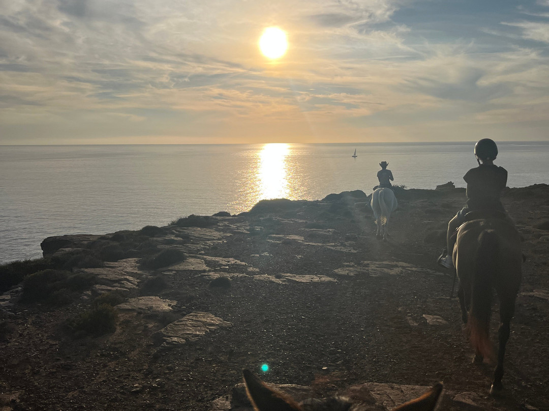 Carolina Ranch Escursioni e Tour-Sant'Antioco必去景点