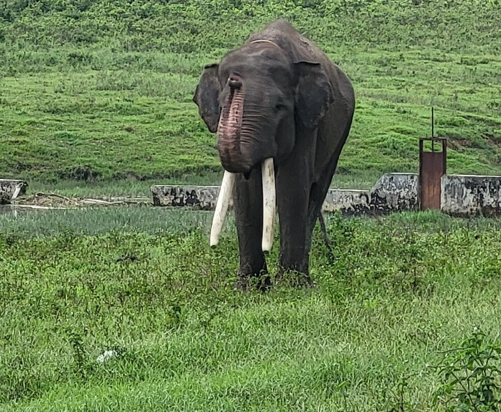 萨特沃大象生态酒店主图