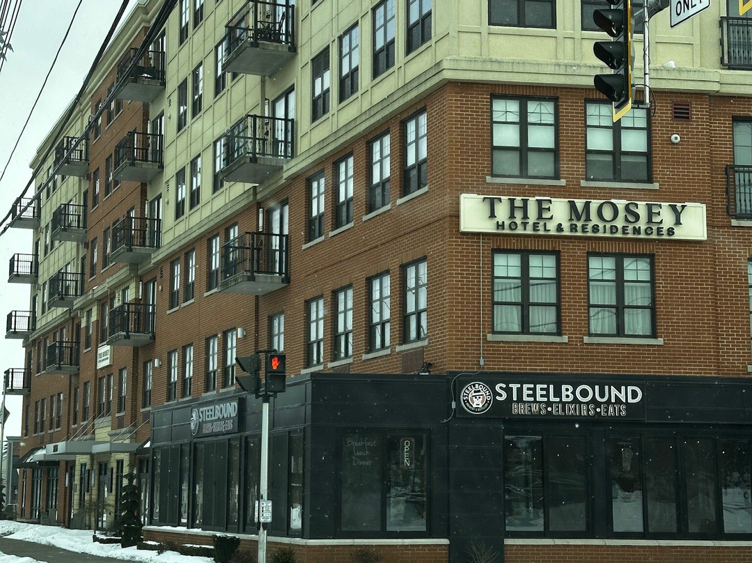 The Mosey Buffalo Williamsville Tapestry Collection Hilton主图