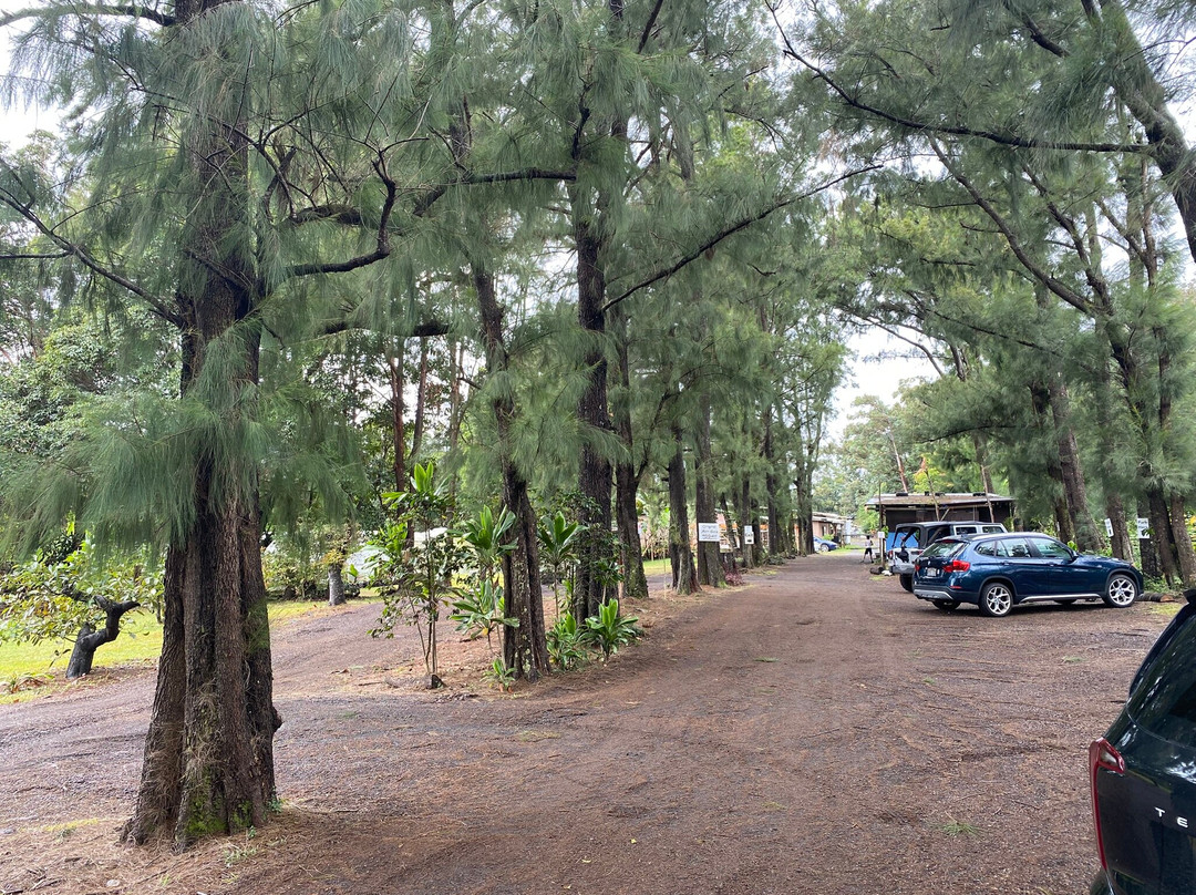 天堂草场-纳勒胡必去景点