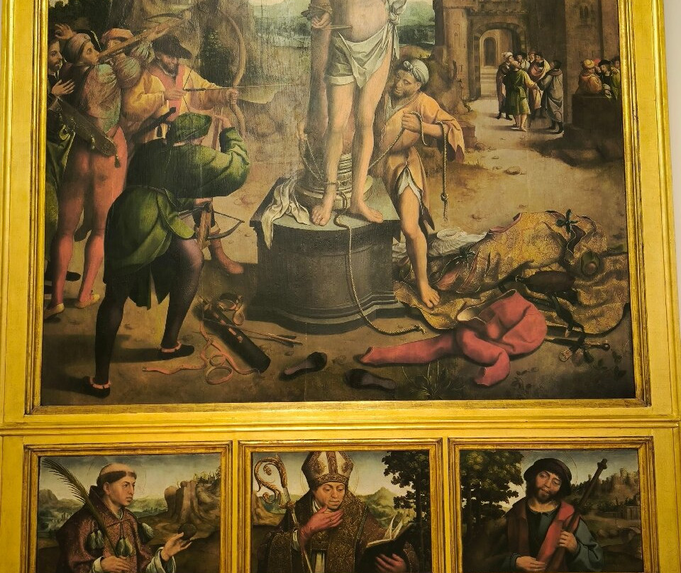 Museu Grão Vasco景点图片