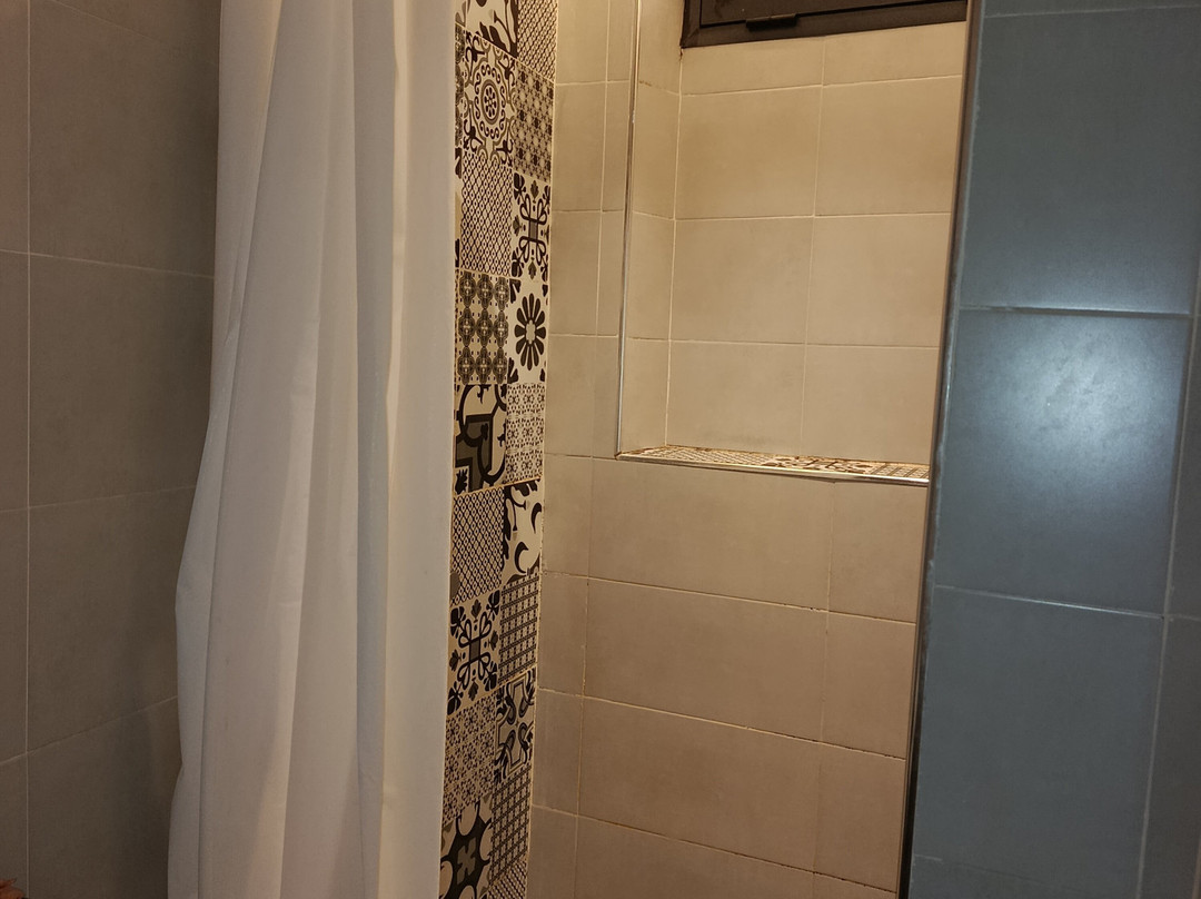 Riad Zyna主图