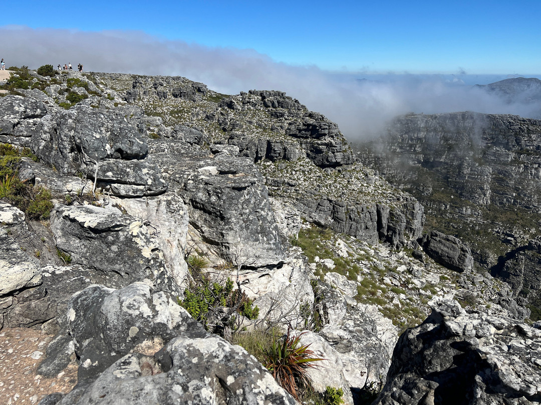 Widevision Travel-米那顿必去景点