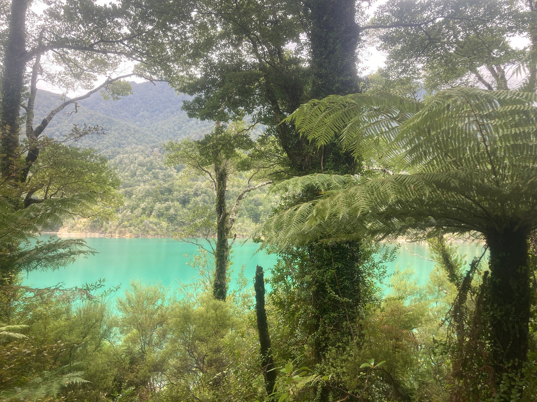 Pelorus Sound Water Taxi & Cruises-哈夫洛克必去景点