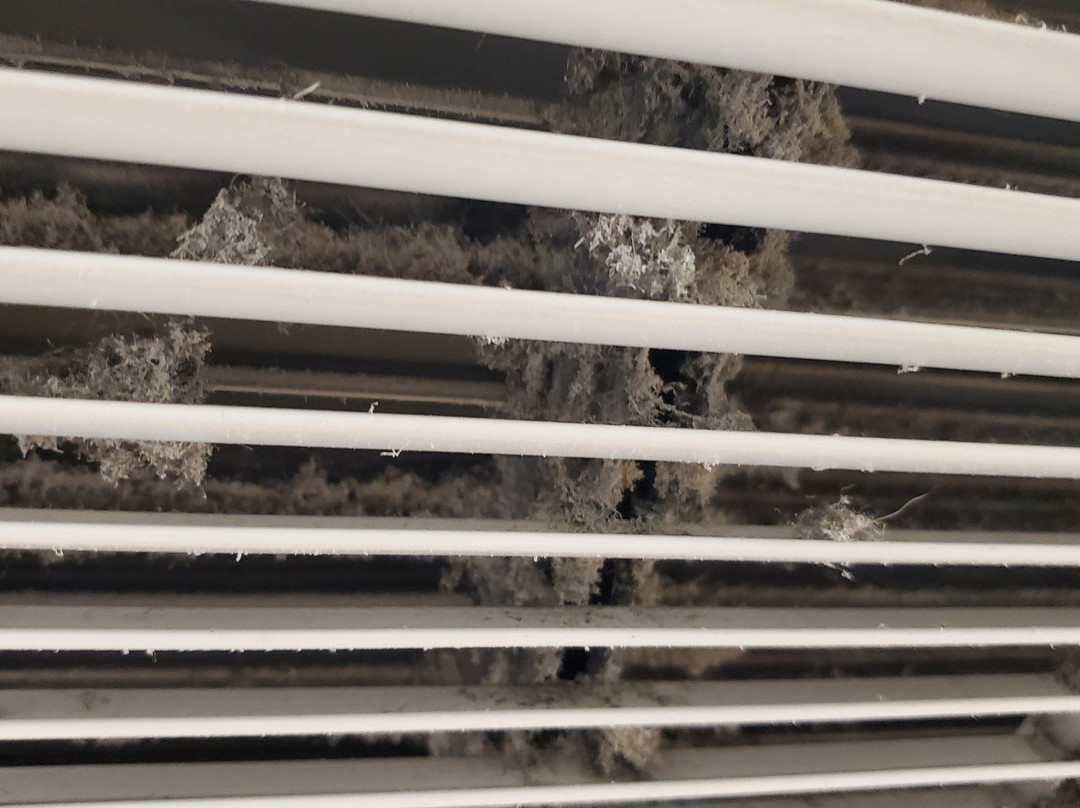 Fairfield by Marriott Inn & Suites Saginaw主图