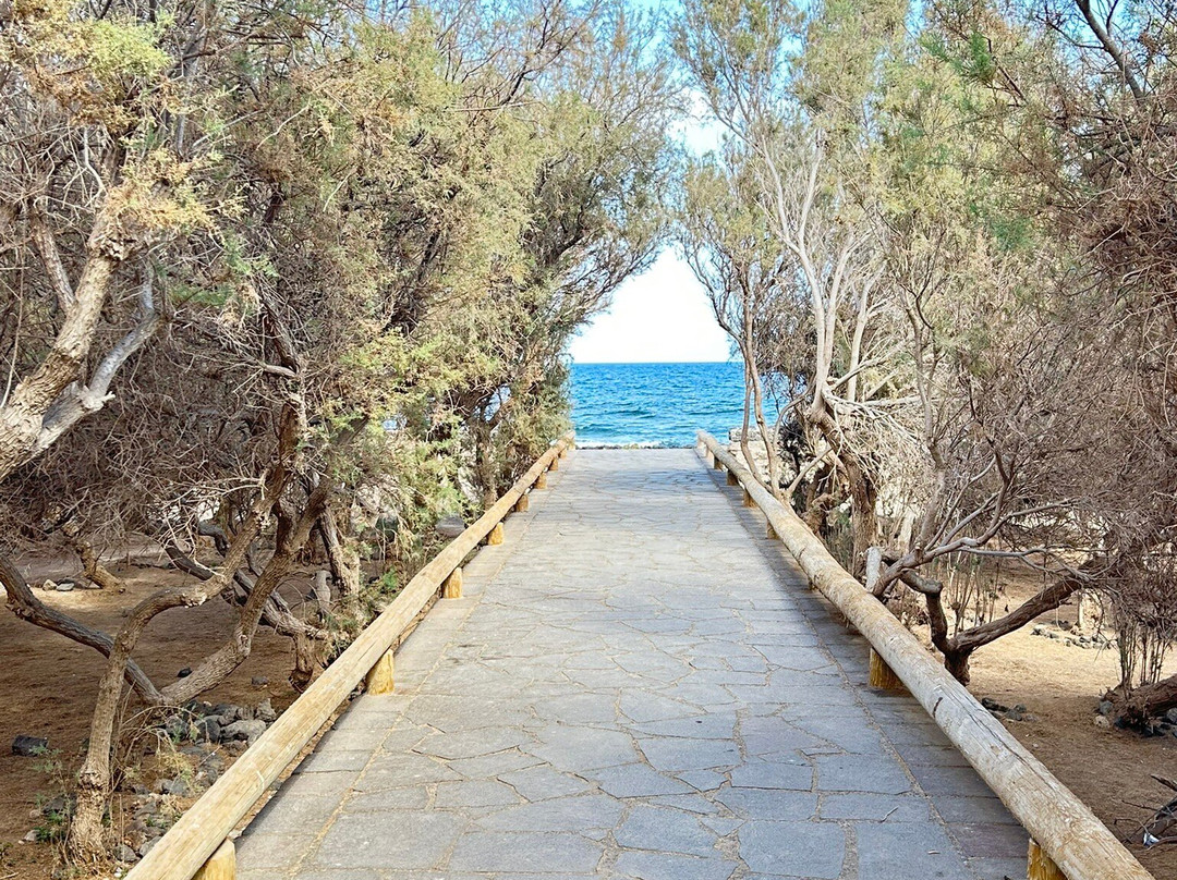 Whale Vertebrae-El Medano必去景点