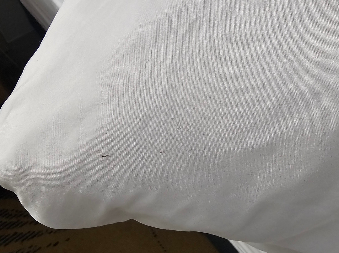 Days Inn by Wyndham Roanoke Near I-81主图