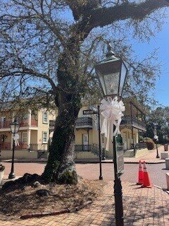 Fort Conde Inn主图