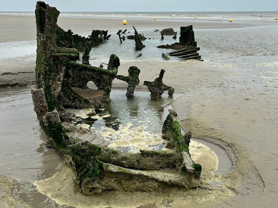 Plage de Zuydcoote景点图片