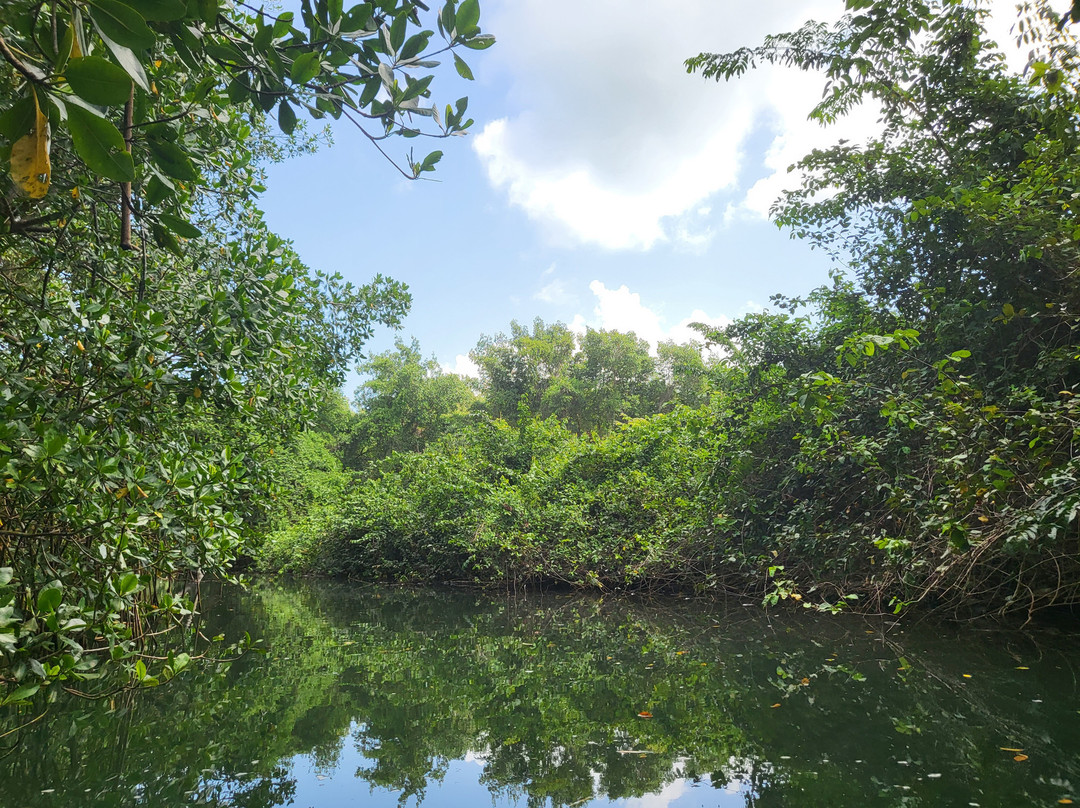 Gwada Gonflé-Petit-Bourg必去景点