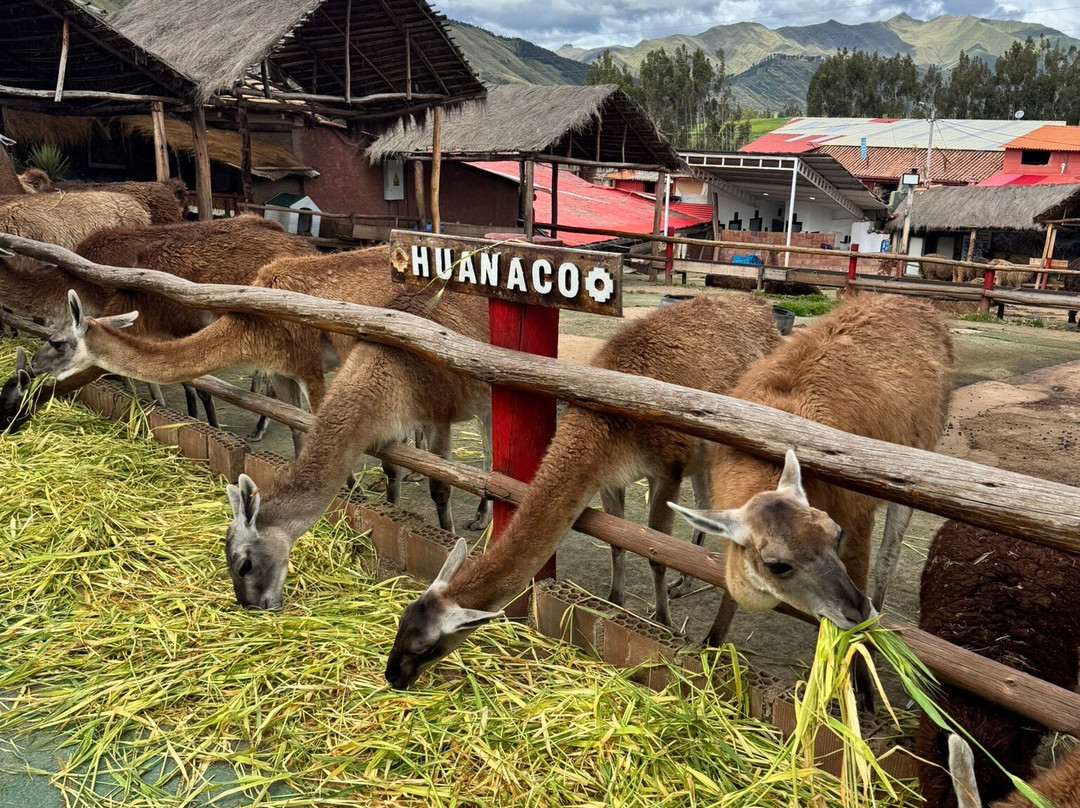 MACHUPICCHU PERÙ JOURNEYS. SPECIALIST TOURS BY EXPERIENCED LOCALS-库斯科必去景点
