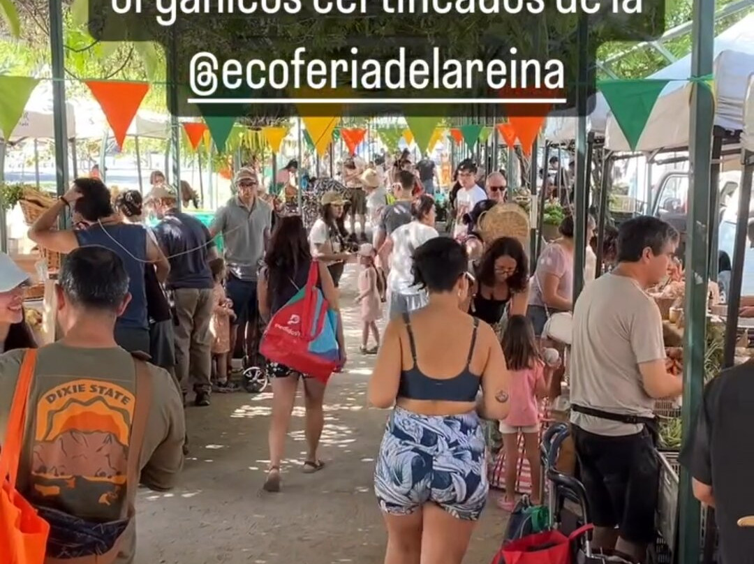 Ecoferia-圣地亚哥必去景点