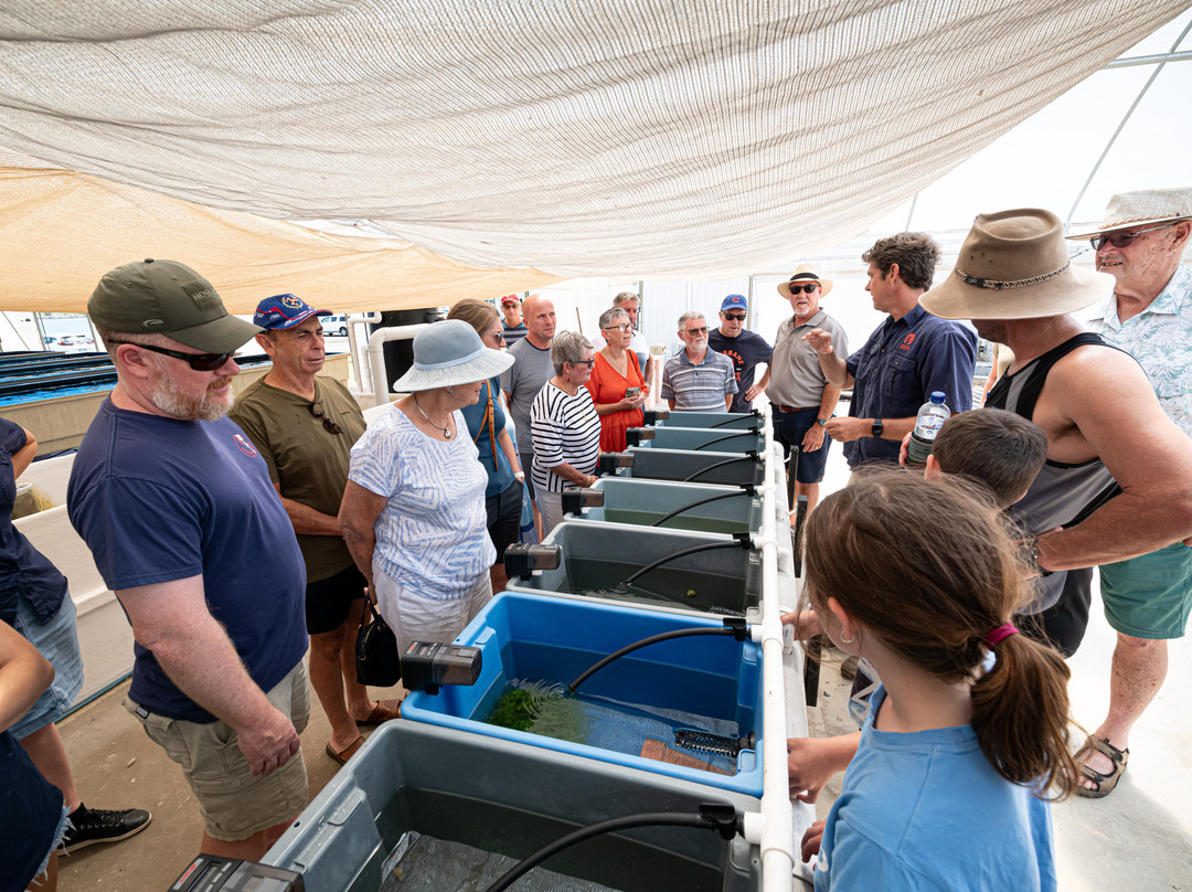 Monsoon Aquatics Coral Farm Tours-Burnett Heads必去景点