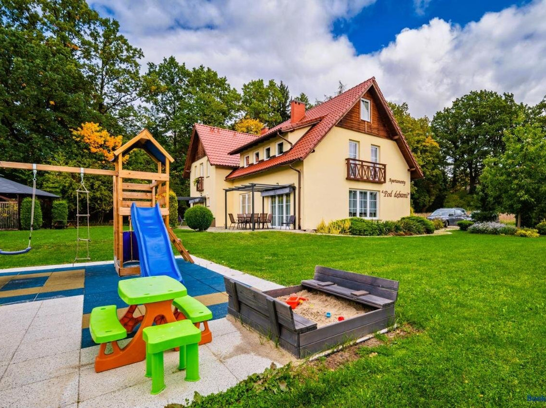 Hronov酒店住宿-Willa Pod Debami